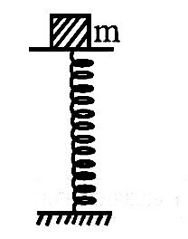 AIPMT 2007 Physics - Oscillations Question 41 English