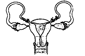 AIPMT 2012 Prelims Biology - Reproductive Health Question 42 English