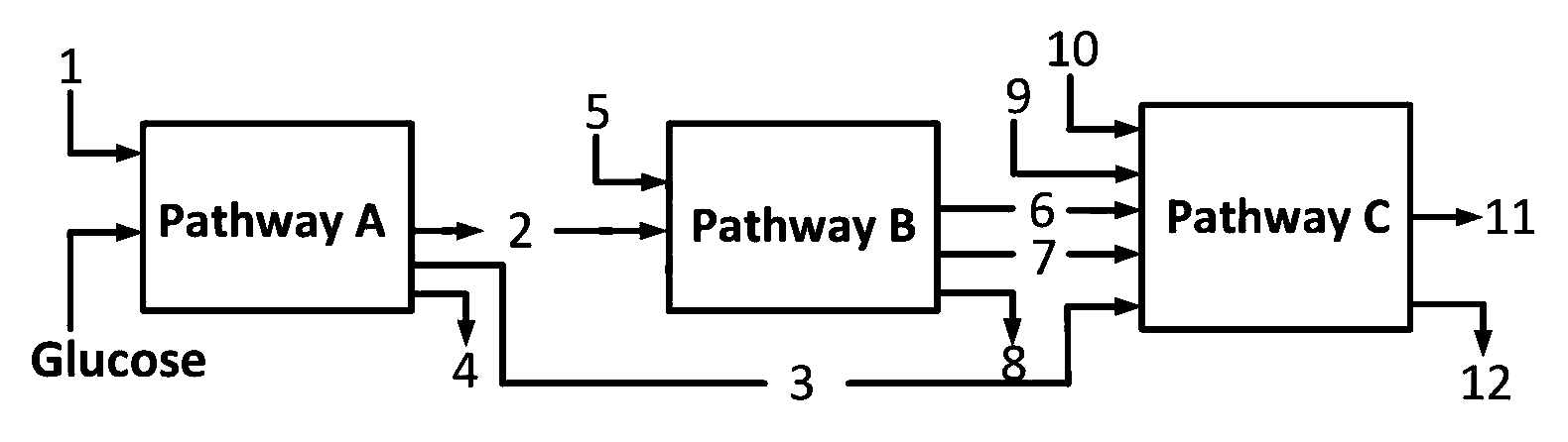 NEET 2013 Biology - Respiration in Plants Question 25 English