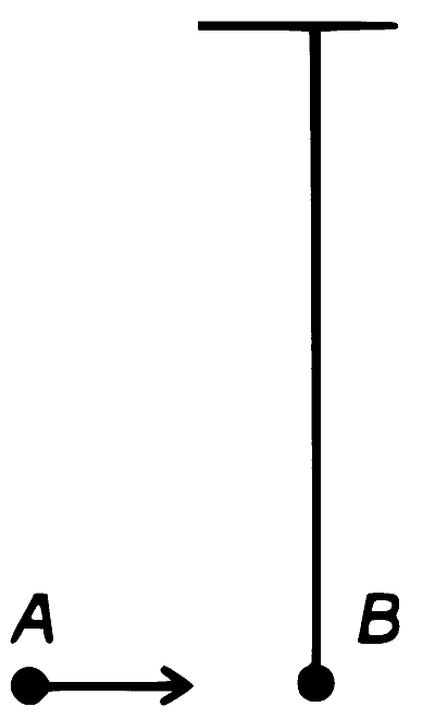 RE-NEET 2026 Physics - Center of Mass and Collision Question 2 English