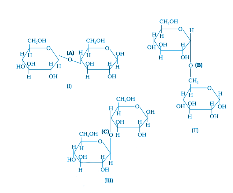 NCERT Exemplar Solutions of Class 12 Chemistry Chapter 14 Biomolecules-6