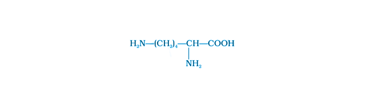 NCERT Exemplar Solutions of Class 12 Chemistry Chapter 14 Biomolecules-8