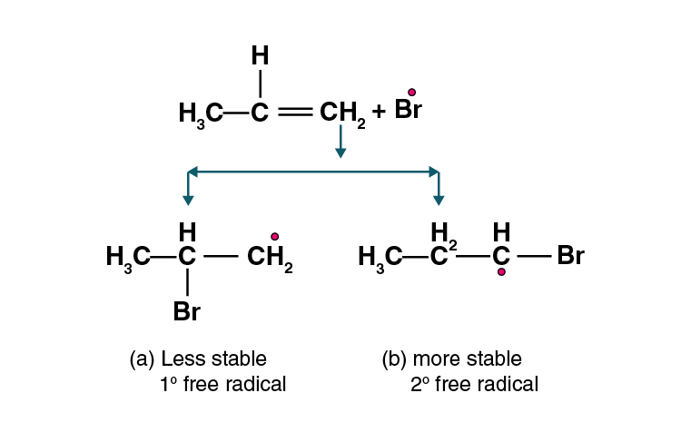 NCERT Exemplar Solutions of Class 11 Chemistry Chapter 13 Hydrocarbons-17