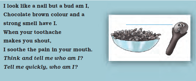 NCERT Solutions Class 4 EVS Chapter 25 - 6