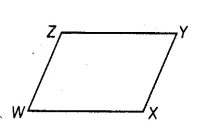 NCERT Exemplars Class 8 Maths Chapter 5 Image 21