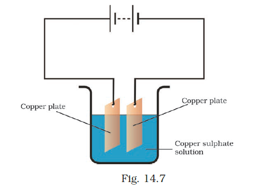 NCERT Exemplar Class 8 Science chapter 14 Solutions fig 10