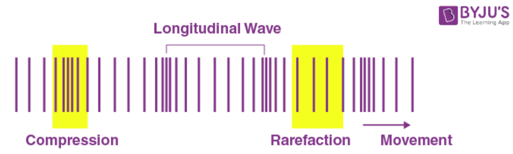 NCERT Solution for Class 9 Science Chapter 12 Image 1