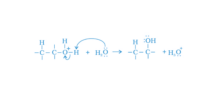 NCERT Exemplar Solutions of Class 12 Chemistry Chapter 11 Alcohol, Phenols and Ethers-18