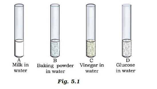 NCERT Exemplar Solutions Class 7 Science Chapter 5-sol-1