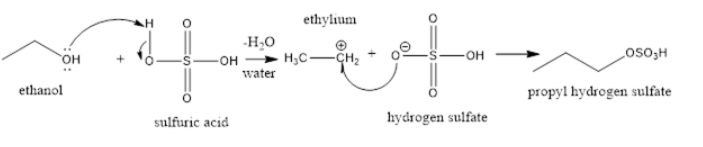 NCERT Exemplar Solutions of Class 11 Chemistry Chapter 13 Hydrocarbons-25