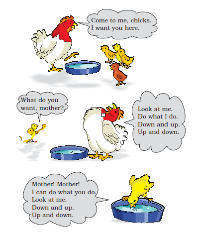 NCERT Solutions Class 1 English Unit 3 Story Lalu and Peelu - 7