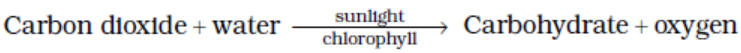 Photosynthesis equation