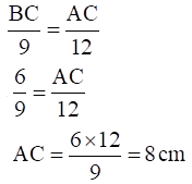 NCERT Exemplar Solutions Class 10 Maths Chapter 6 Ex. 6.3-13