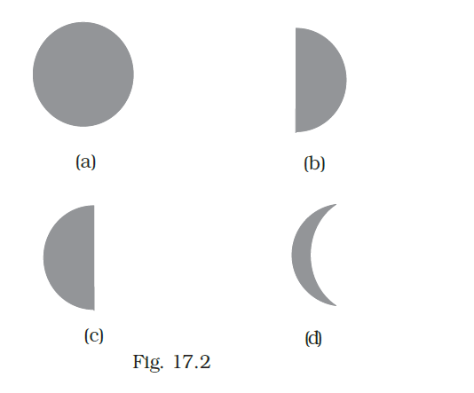 NCERT Exemplar Class 8 Science chapter 17 Solutions fig 2