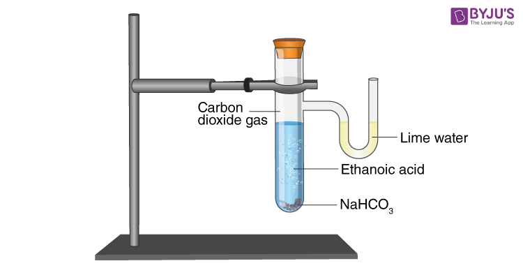ethanoic acid reacts with Sodium Hydrogen Carbonate