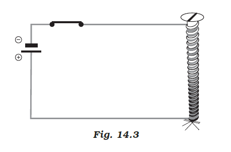 NCERT Exemplar Solutions Class 7 Science Chapter 14-sol-3