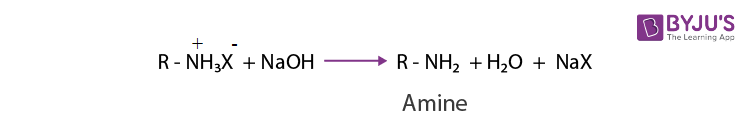 NCERT Solutions for Class 12 Chemistry Chapter 13 Amines Q 13.7(v)-2