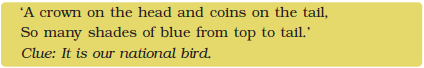 NCERT Solutions for Class 4 Chapter 16 Image 1