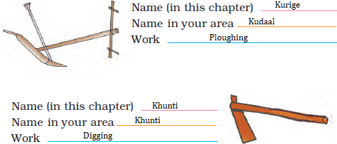 NCERT Solutions for Class 4 Chapter 14 Image 4