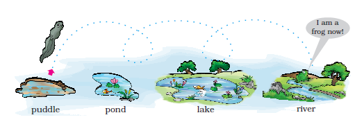 NCERT Solutions Class 1 English Unit 2 Story The Bubble, the Straw and the Shoe - 1