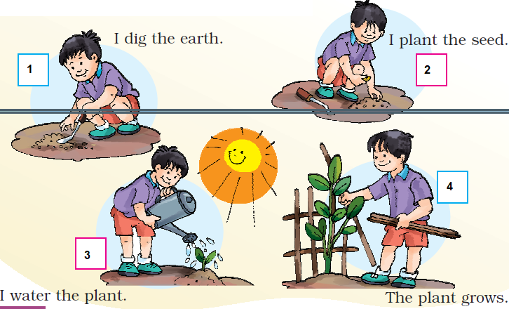 NCERT Solutions Class 1 English Unit 6 Our Tree - 4