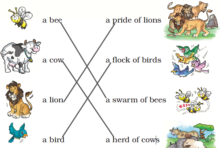 NCERT Solutions Class 2 English Unit 2 I Want - 7