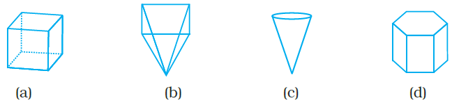 NCERT Exemplars Class 8 Maths Chapter 6 Image1