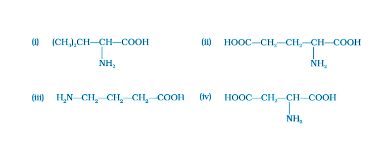 NCERT Exemplar Solutions of Class 12 Chemistry Chapter 14 Biomolecules-7
