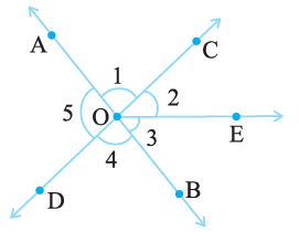 NCERT Solutions for Class 7 Maths Chapter 5 Lines and Angles Image 8