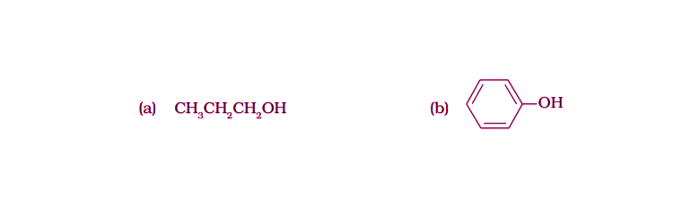 NCERT Exemplar Solutions of Class 12 Chemistry Chapter 10 Haloalkanes and Haloarenes-21