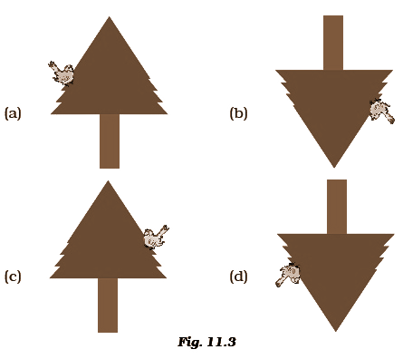 seo images