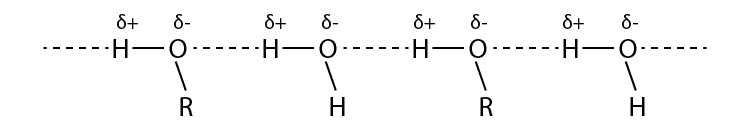 NCERT Solutions for Class 12 Chemistry Chapter 11 Alcohols, Phenols and Ethers Q 11.5