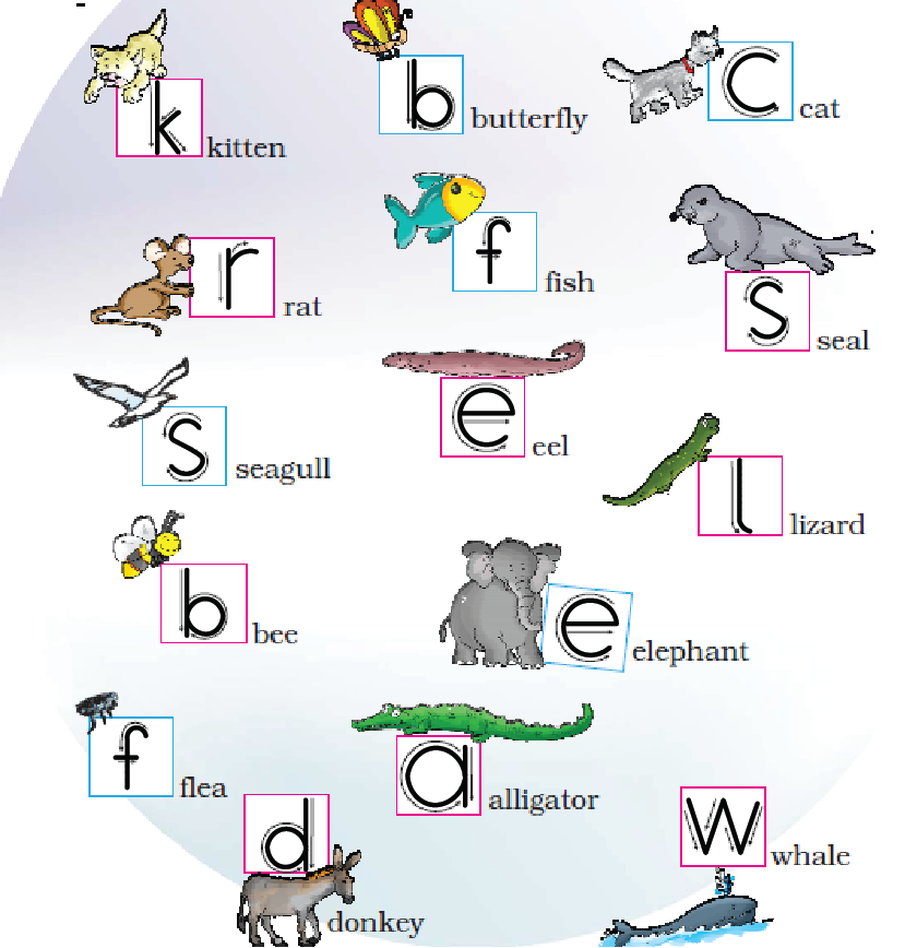 NCERT Solutions Class 1 English Unit 3 Poem One Little Kitten - 3