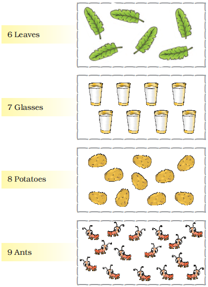 NCERT Solutions Class 1 Maths Chapter 2 Numbers from One to Nine - 43