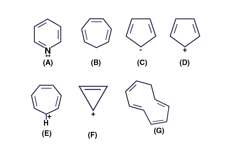 NCERT Exemplar Solutions of Class 11 Chemistry Chapter 13 Hydrocarbons-23