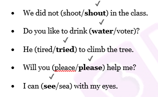 NCERT Solutions Class 2 English - Unit 10 Poem Strange Talk-1