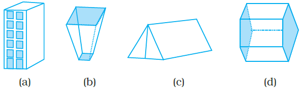 NCERT Exemplars Class 8 Maths Chapter 6 Image 7