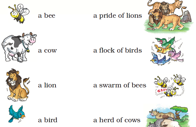 NCERT Solutions Class 2 English Unit 2 I Want - 6