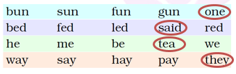 NCERT Solutions Class 2 English Unit 5 Funny Bunny - 2
