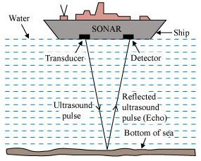 NCERT Solution for Class 9 Science Chapter 12 Image 3