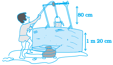 NCERT Exemplars Class 7 Maths Solutions Chapter 1 Image 4