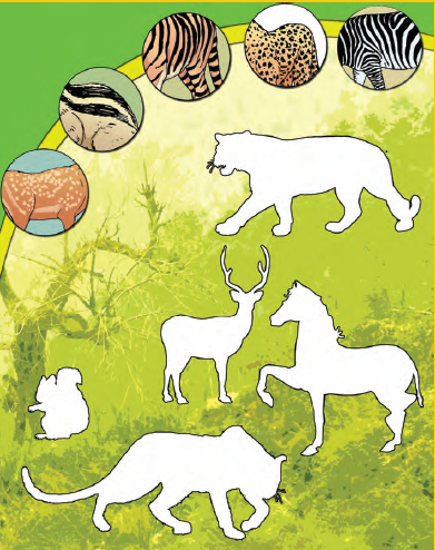 NCERT solutions class 4 EVS chapter 2-Ear to ear-3