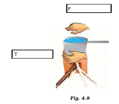 NCERT Exemplar Solutions Class 7 Science Chapter 4-sol-8