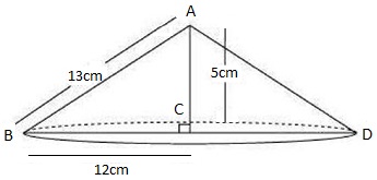 Ncert solutions class 9 chapter 13-16