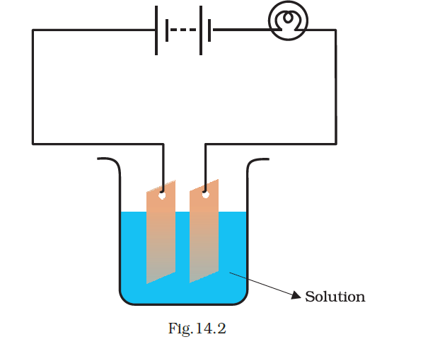 NCERT Exemplar Class 8 Science chapter 14 Solutions fig 2