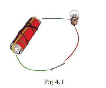 NCERT Exemplar Class 8 Science chapter 4 Solutions fig 1