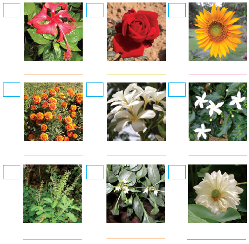 NCERT Solutions Class 4 EVS Chapter 11 - 1
