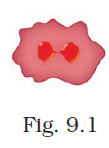 NCERT Exemplar Class 8 Science chapter 9 Solutions fig 4