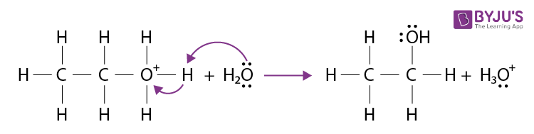 NCERT Solutions for Class 12 Chemistry Chapter 11 Alcohols, Phenols and Ethers Q 11.10 Step3