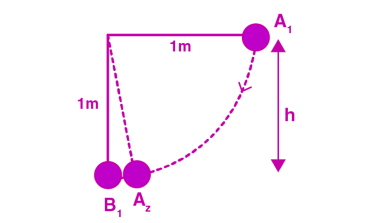 Exemplar Solutions Physics Class 11 Chapter 6 - 25